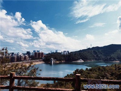 龙筋抓取技术的发展与广州市场